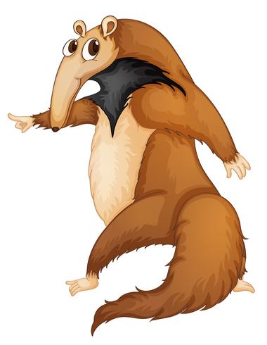 anteater vector