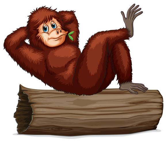 Chimpanzee vector