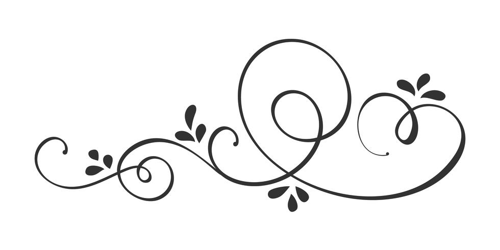 Vector dibujado a mano elementos de diseño caligráfico Flourish primavera. Decoración floral de estilo ligero para web, bodas y estampados. Aislados en fondo blanco Ilustración de caligrafía y letras