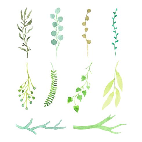 watercolor leaves and branches set vector