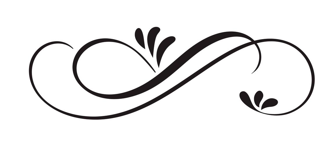 Hand Drawn Calligraphic Floral Spring Flourish Design Elements in style isolated on white background. Vector calligraphy and lettering illustration