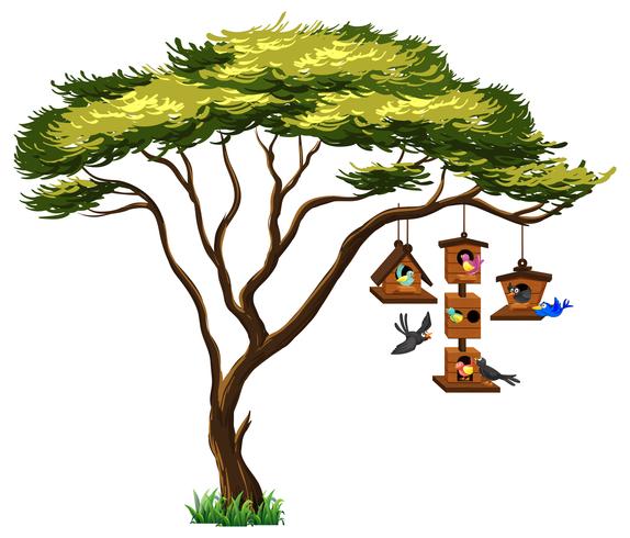 Many birds on birdhouse hanging from tree vector