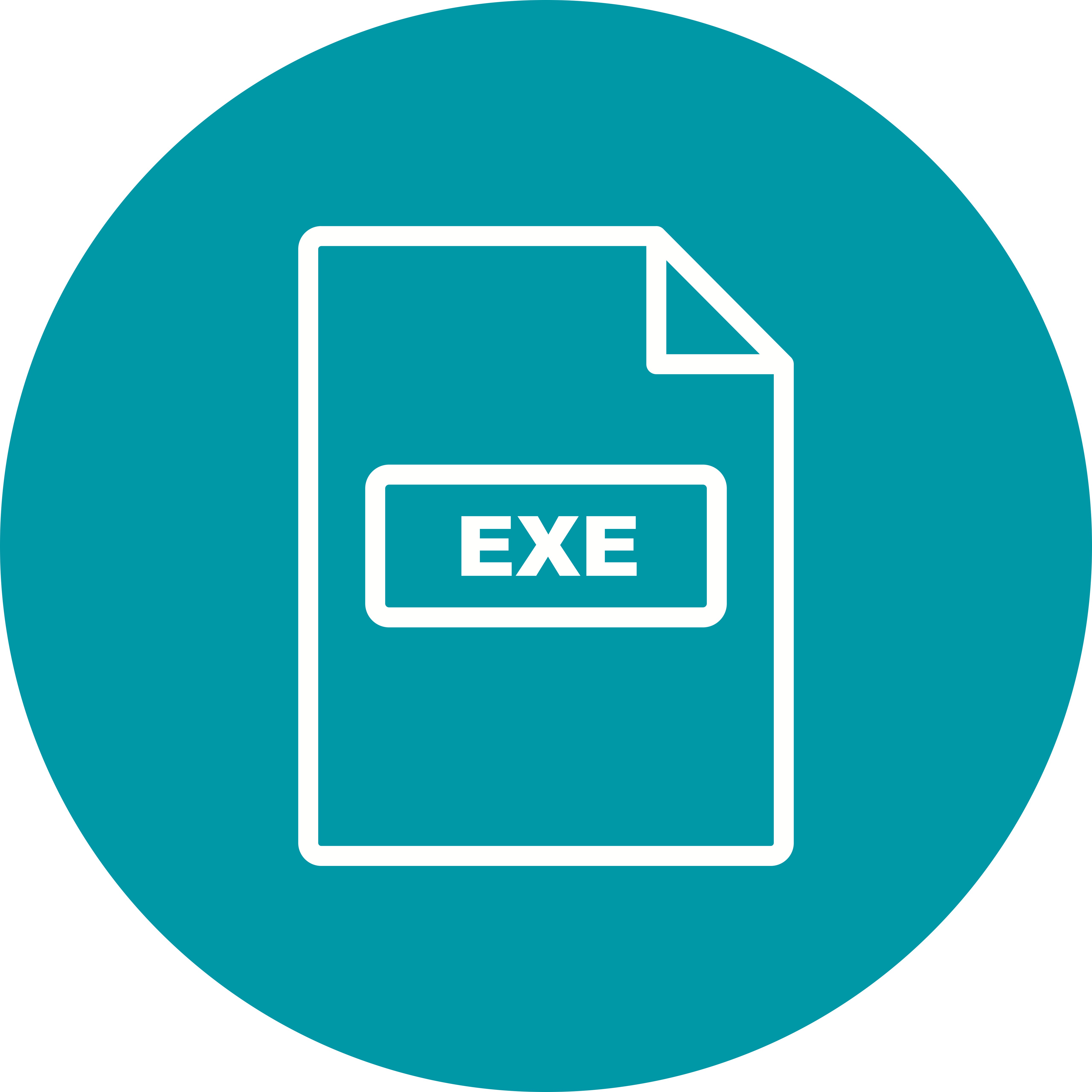 Executable File Icon