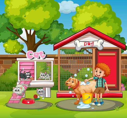 Pet houses in the garden vector