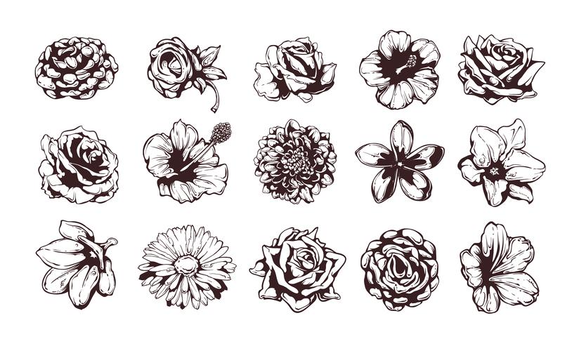 Set of grungy flowers vector
