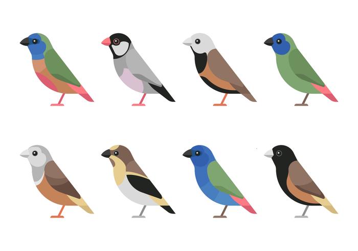 Conjunto de imágenes de aves vector