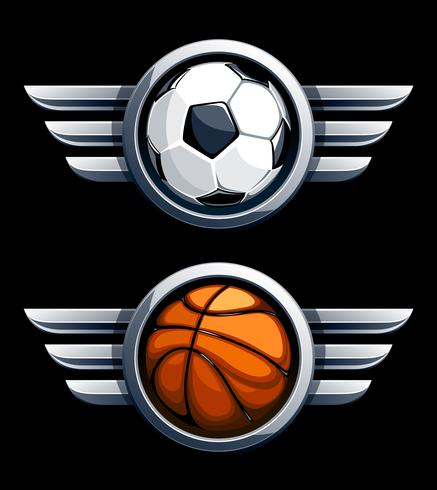 Basketball and soccer ball vector