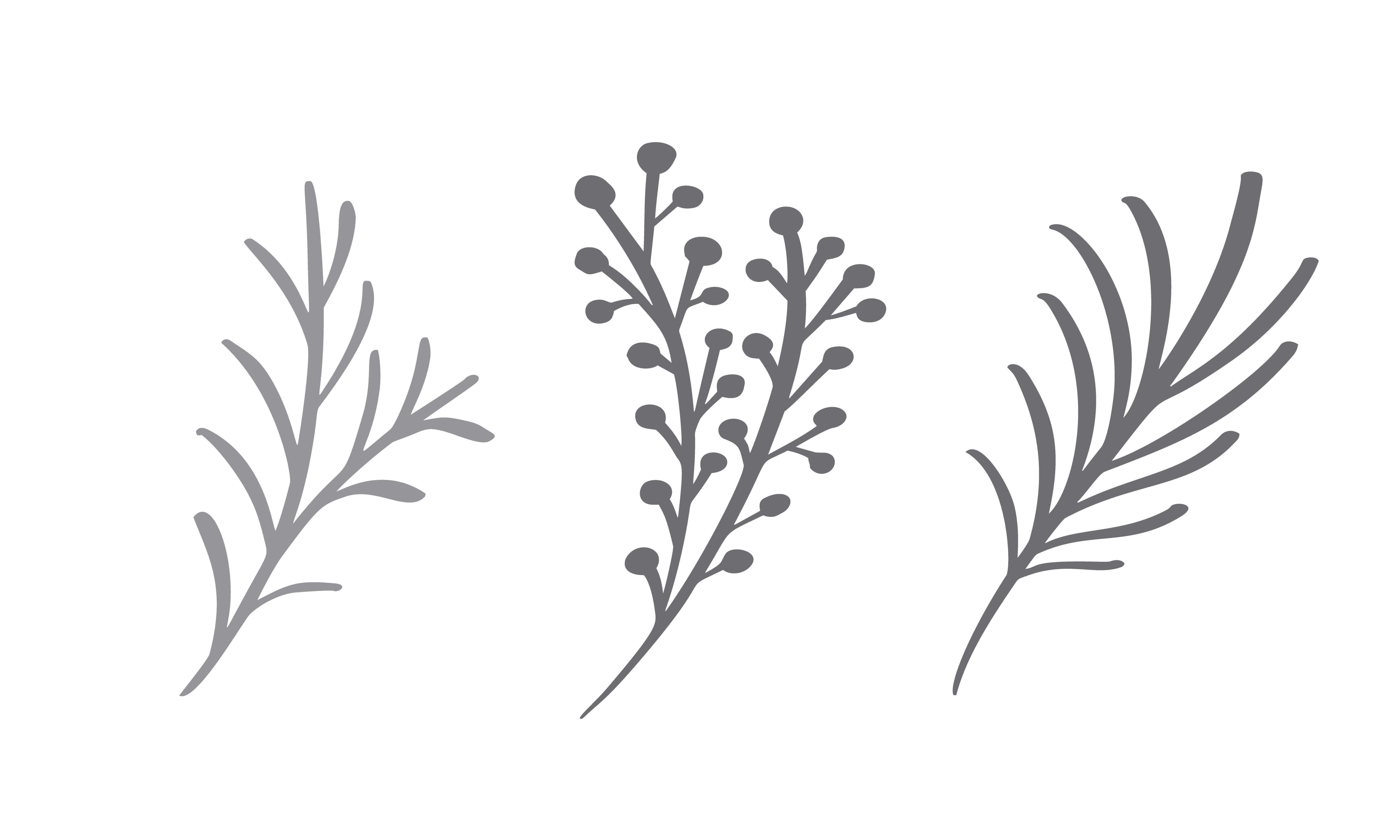Download Christmas decorative branch elements design floral leaves in scandinavian style. Vector handdraw ...