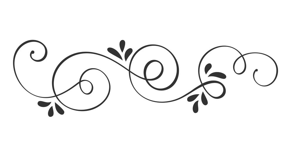 Vector dibujado a mano elementos de diseño caligráfico Flourish primavera. Decoración floral de estilo ligero para web, bodas y estampados. Aislados en fondo blanco Ilustración de caligrafía y letras