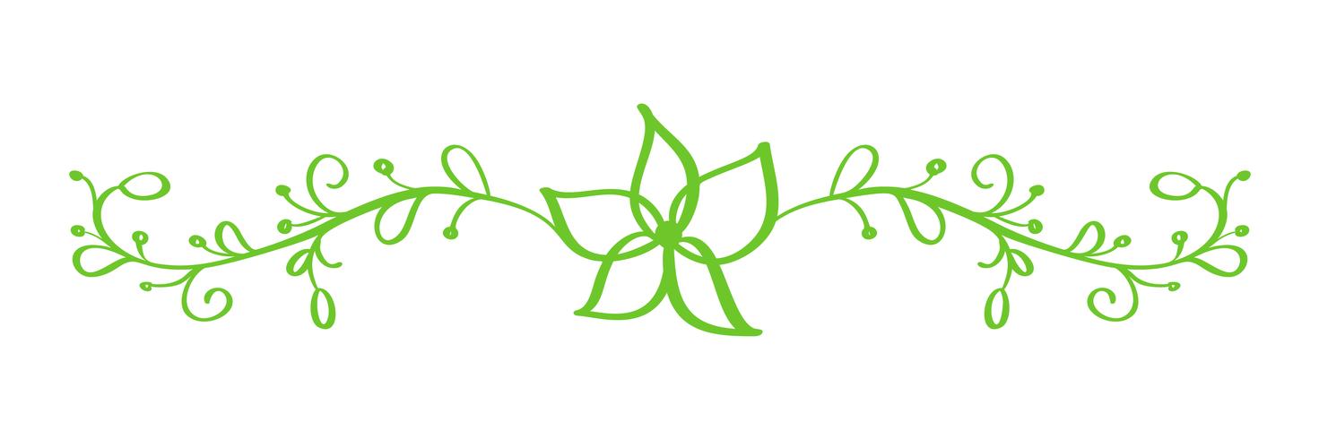 Separador caligráfico dibujado mano verde del vector. Elemento de diseño de flor de primavera. Decoración floral de estilo ligero para tarjetas de felicitación, web, bodas y estampados. Aislados en fondo blanco Ilustración de caligrafía y letras vector