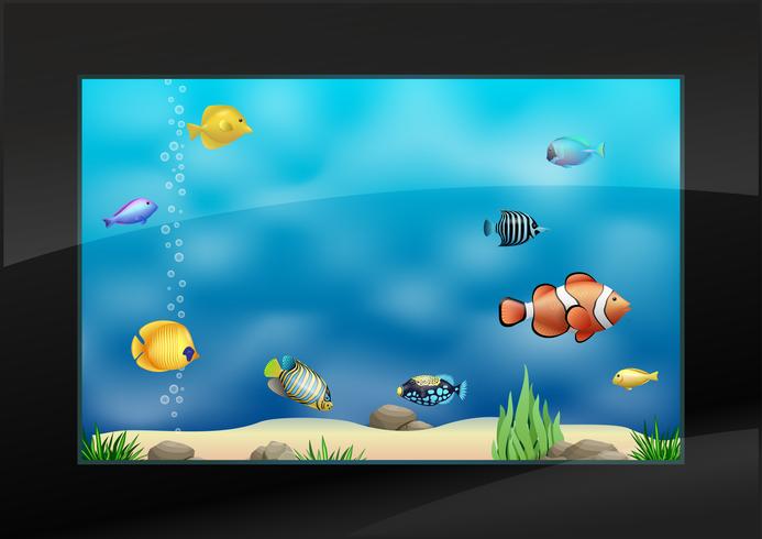 Moderno acuario en el interior con exóticos peces marinos. vector