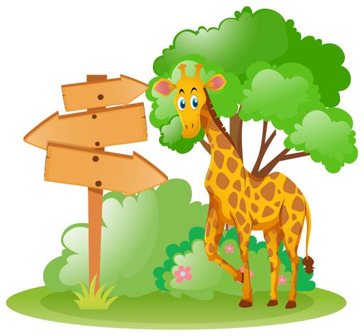 Giraffe standing by the wooden sign in park vector