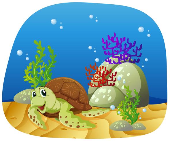 Sea turtle swimming under the sea vector