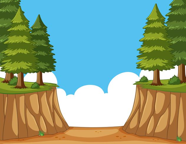 Scene with pine trees on the cliff vector