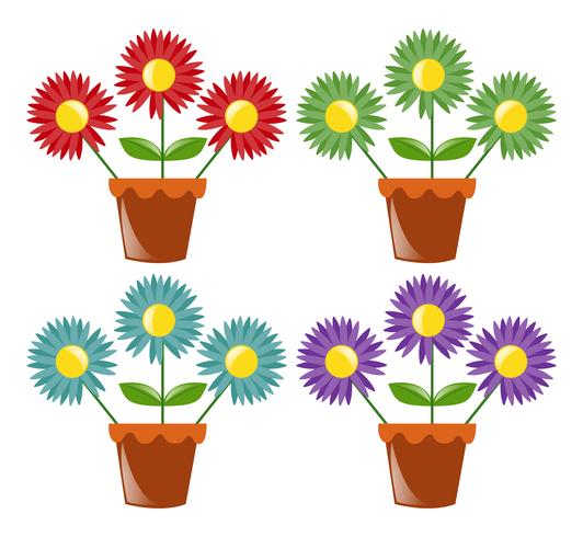 Four flower pots with flowers vector