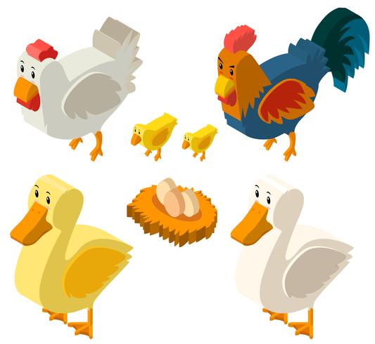 Diseño 3D para gallinas y huevos. vector