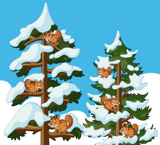 Squirrels climbing tree in winter vector