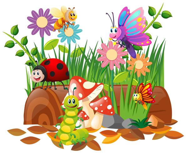 Different Types Of Insects In Garden Download Free Vectors