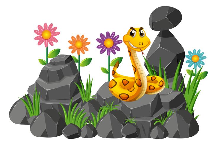 Wild snake on the rocks vector