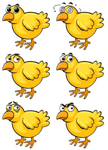 Little chicks with different emotions vector