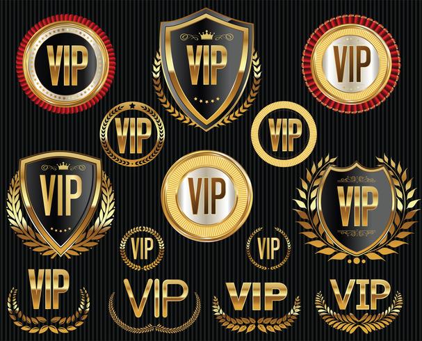 Etiquetas de oro VIP y colección de insignias. vector