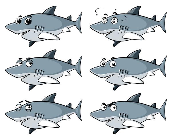 Great white shark with six different emotions vector