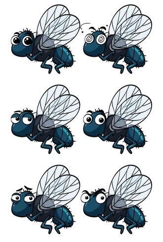 Houseflies with different emotions vector