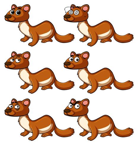 Beaver with different facial expressions vector