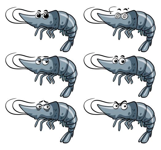 Shrimp with different expressions vector