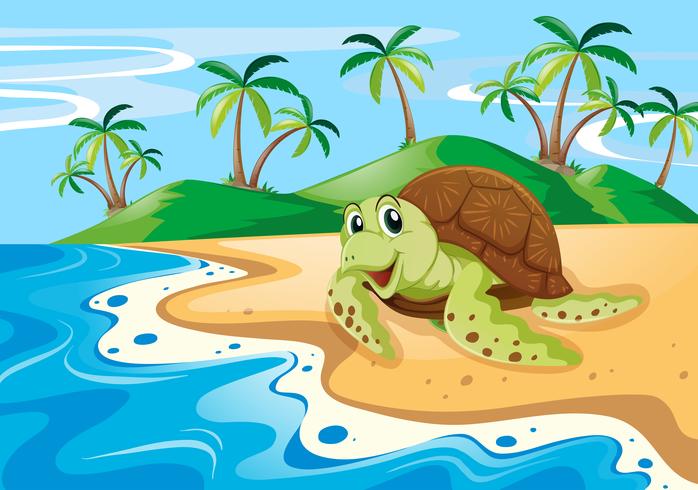 Sea turtle on the beach vector