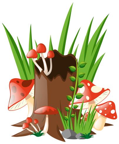 Red mushrooms growing in garden vector