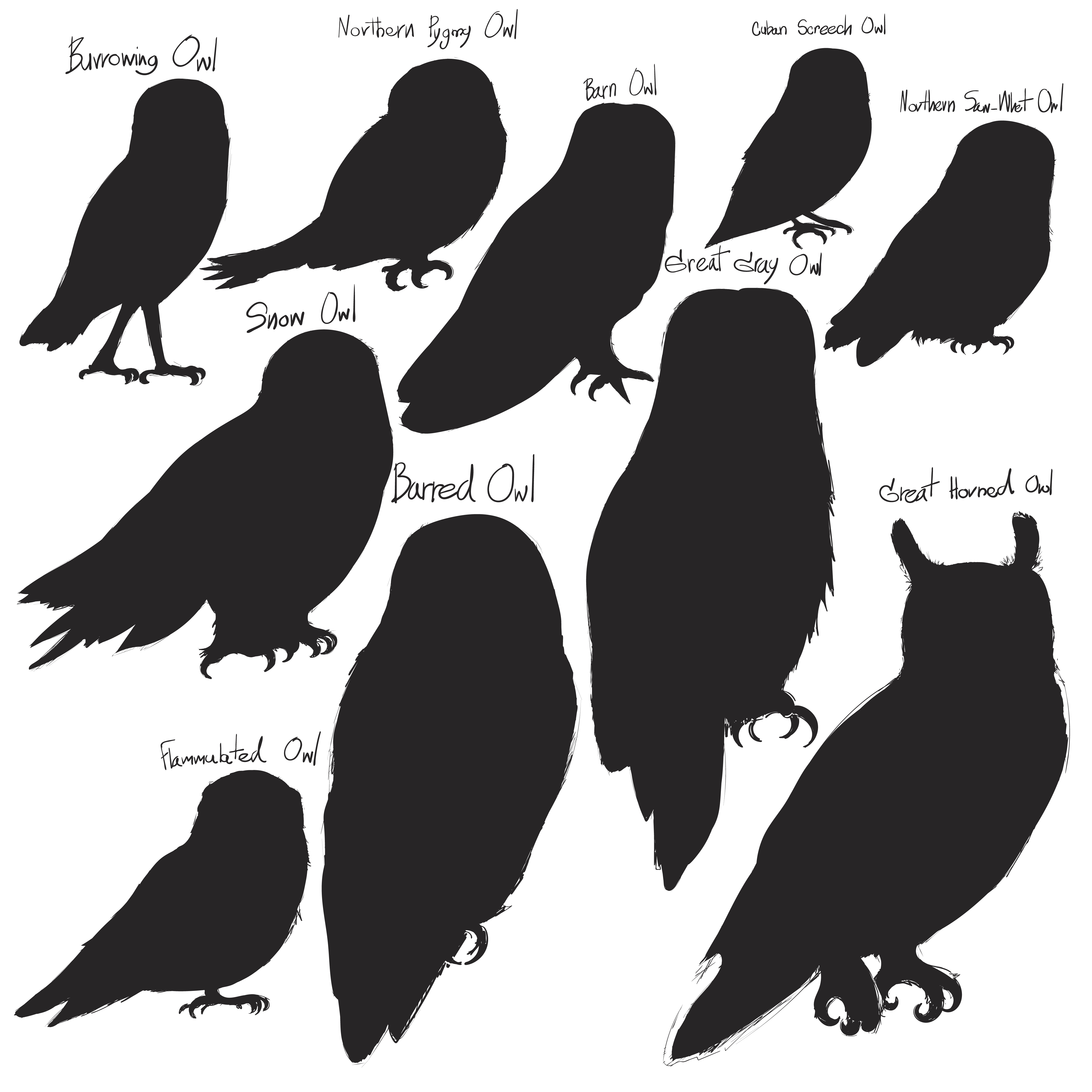 Animals Illustration Vector Art Set - Download Free Vectors, Clipart