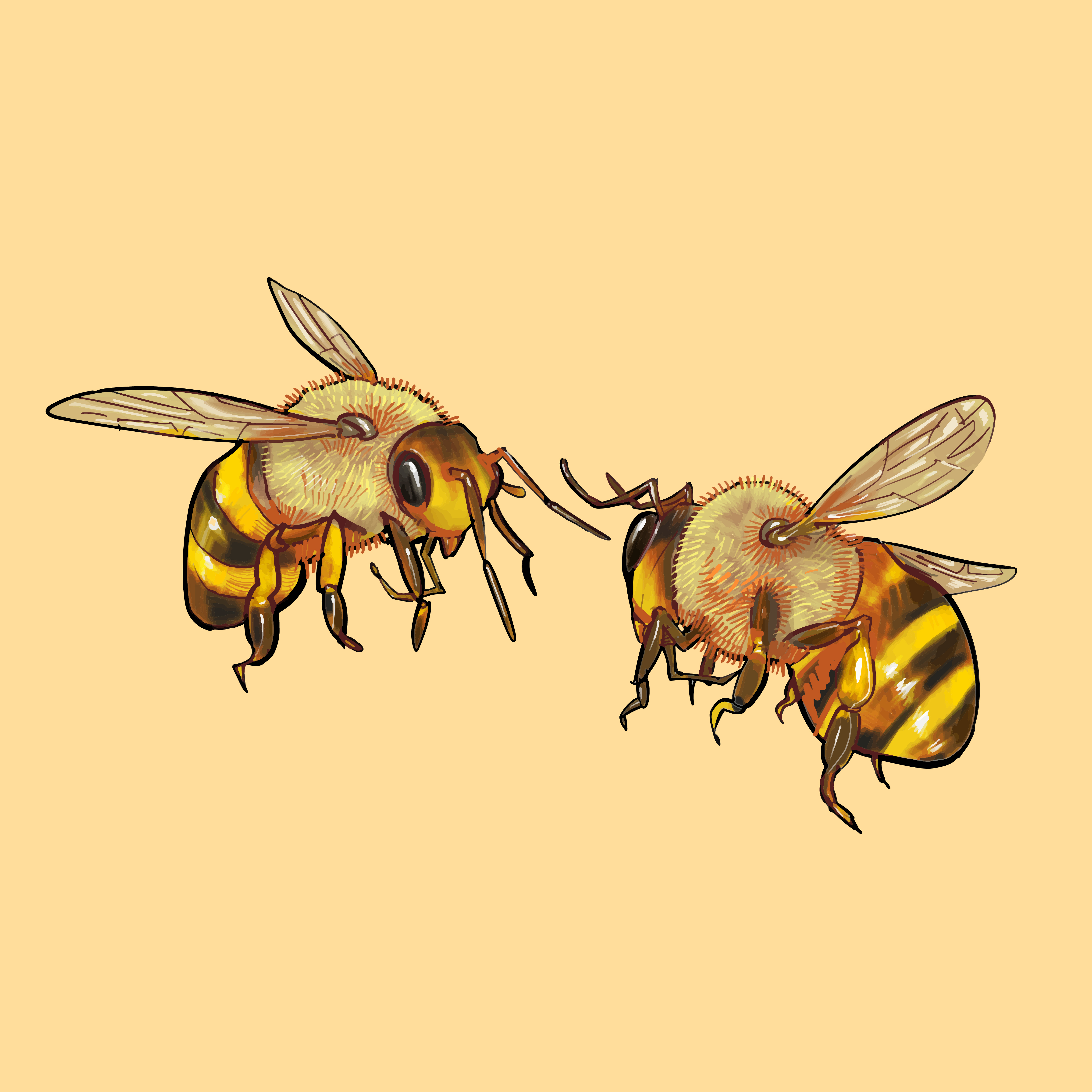 Ilustración de dos abejas lindas - Descargar Vectores Gratis