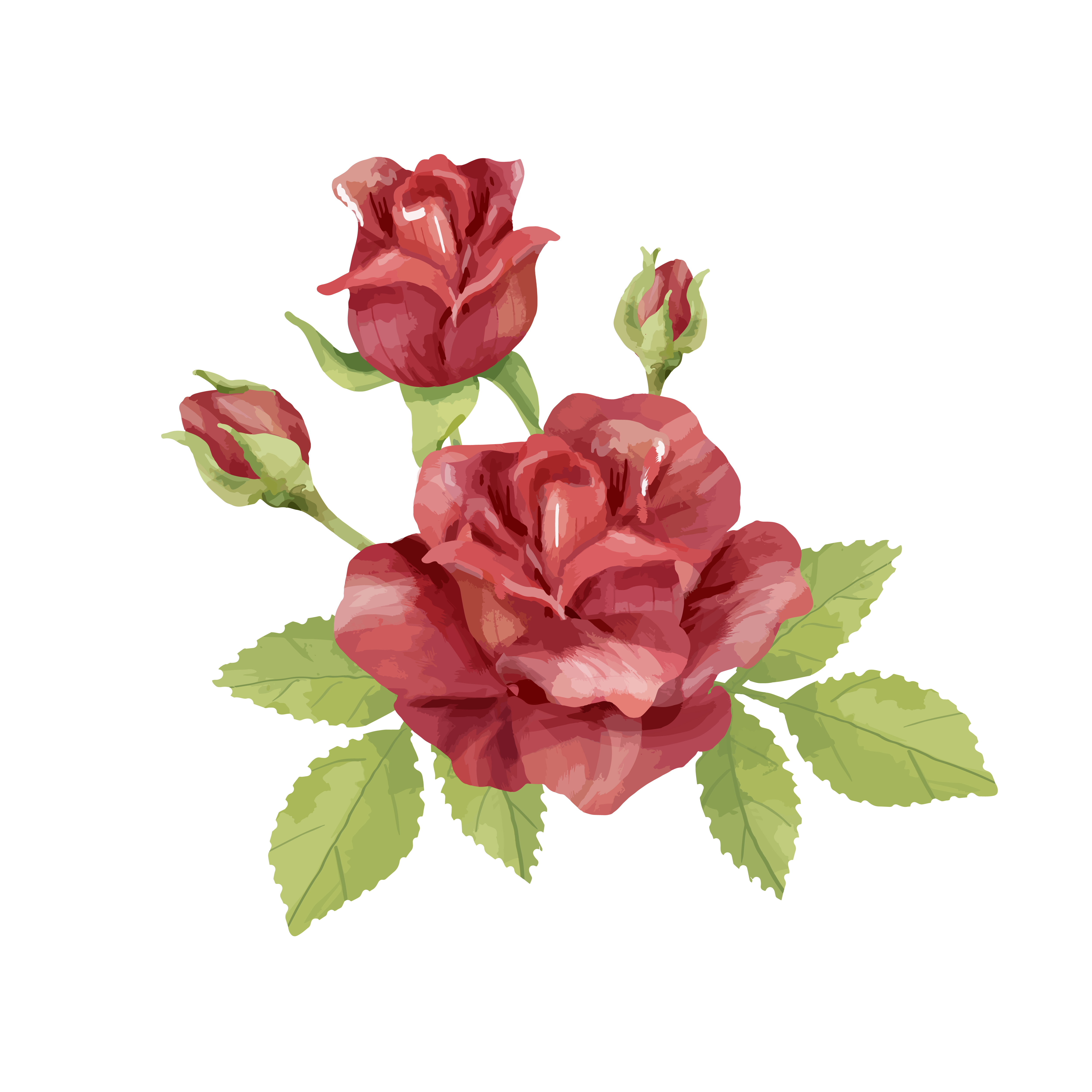 Hand drawn rose flower illustration - Download Free ...