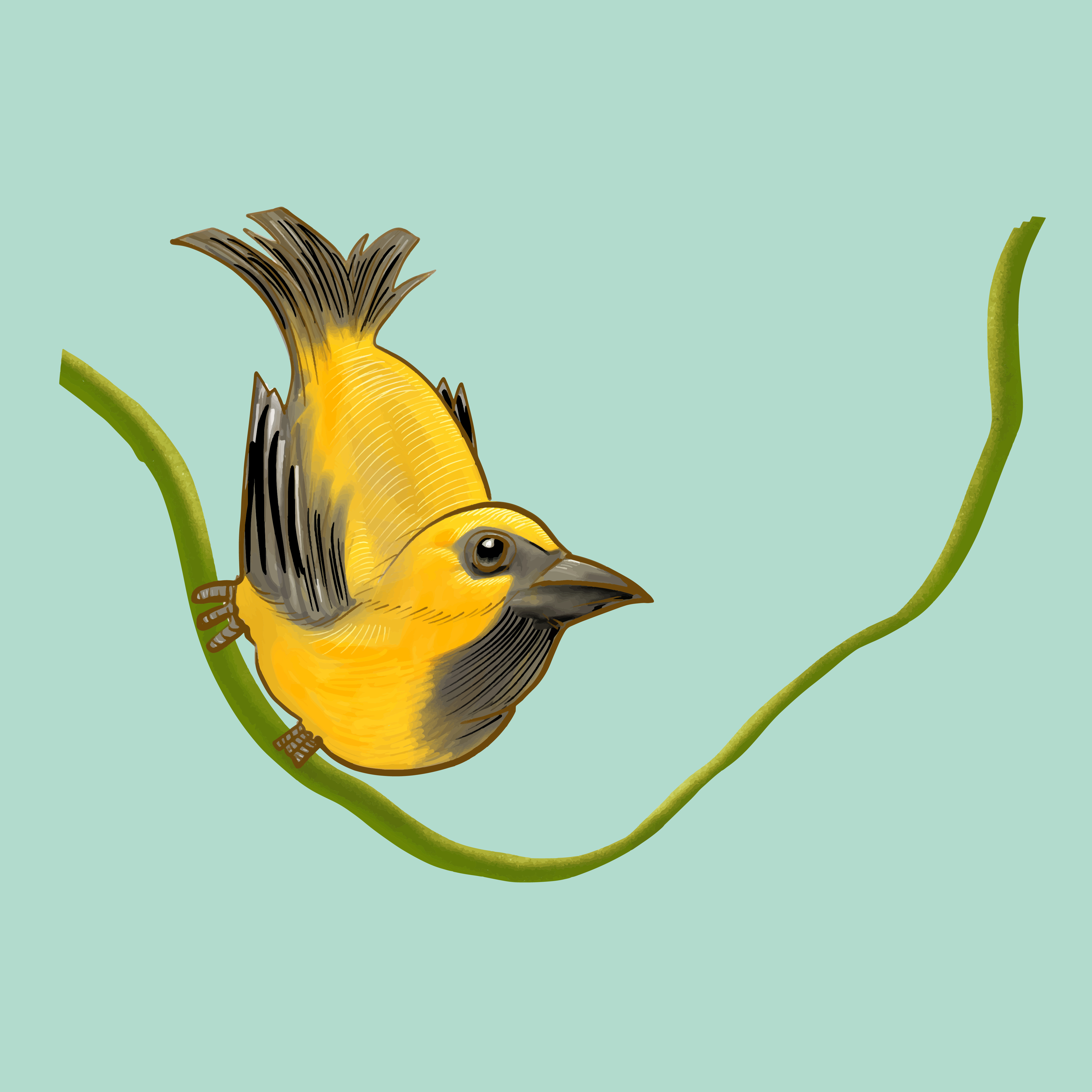 Drawing Of A Yellow Bird Download Free Vectors Clipart Graphics