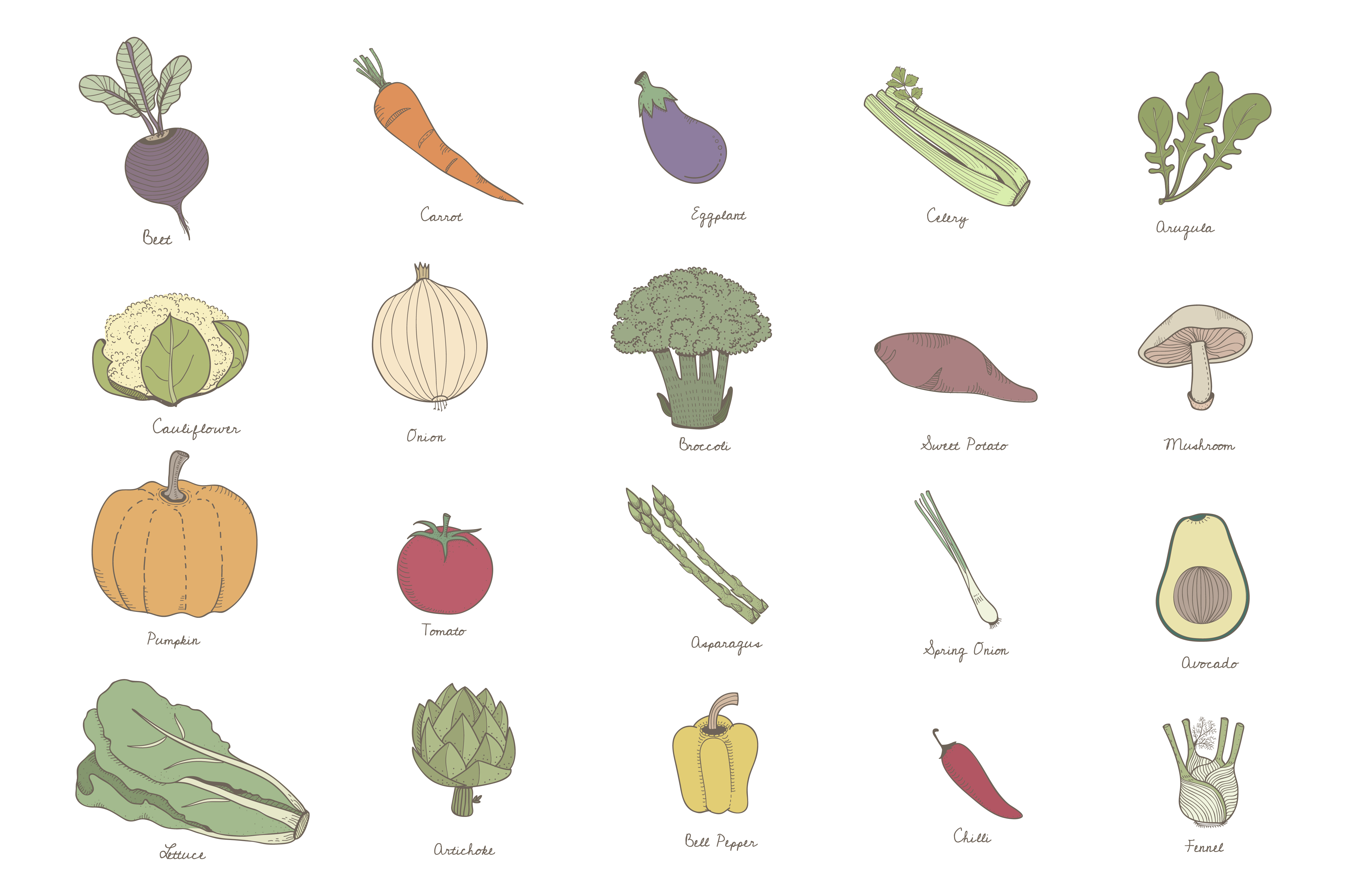 Colored illustration set of labeled vegetables - Download Free Vectors