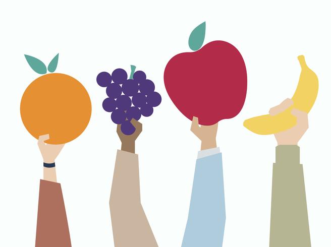 Illustration of hands holding fruits - Download Free Vectors, Clipart
