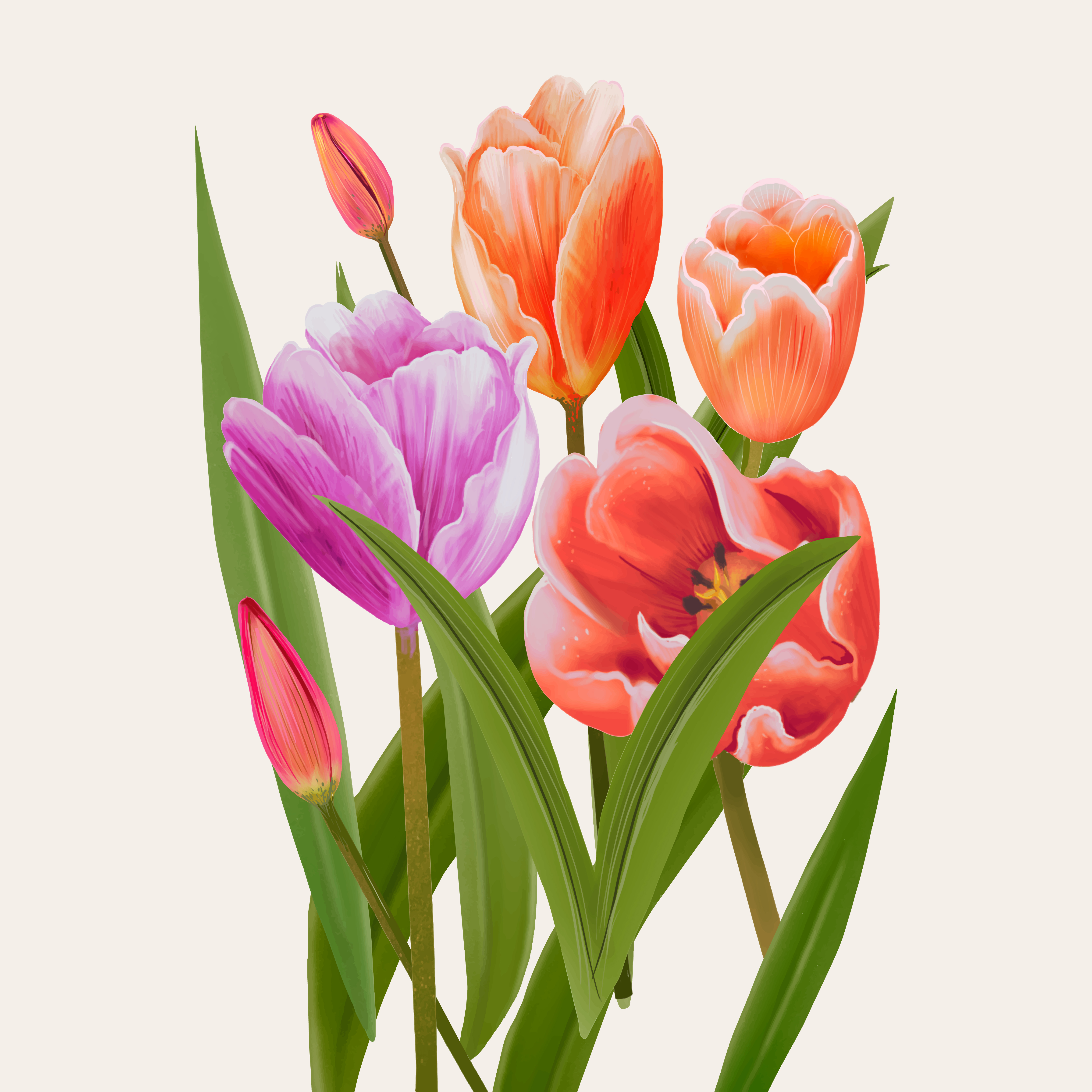 Make For A Great Tulip Flower Drawing - HEART WITH DRAWING