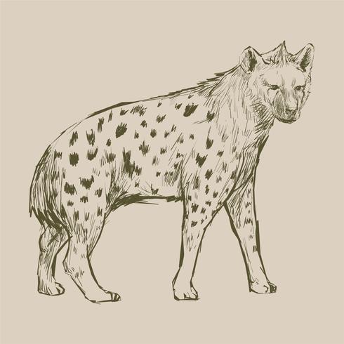 Animals Illustration Vector Art Set - Download Free Vectors, Clipart