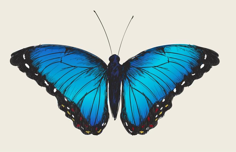 Free Free Butterfly Group Svg 437 SVG PNG EPS DXF File