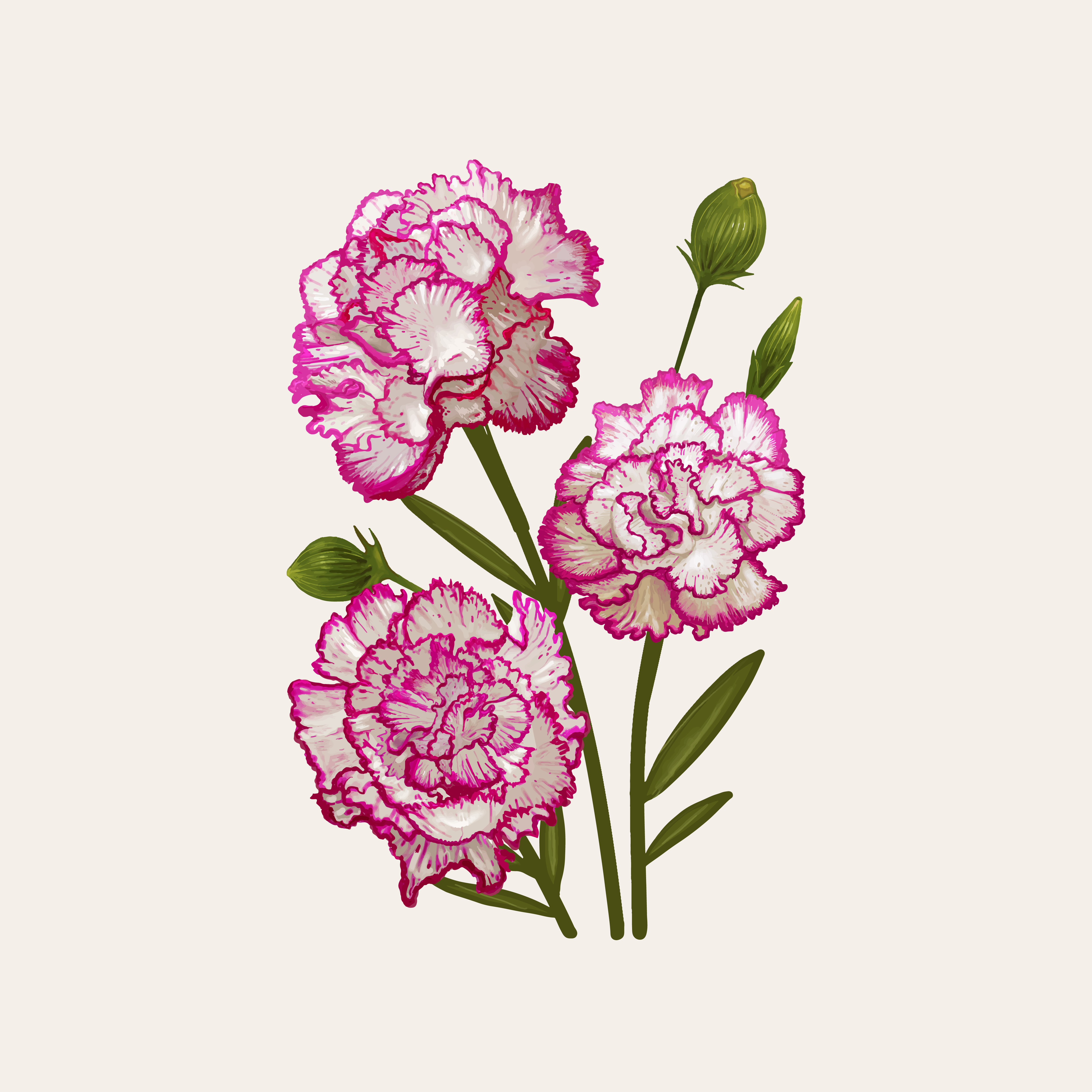 Free Free 98 Flower Drawing Svg SVG PNG EPS DXF File