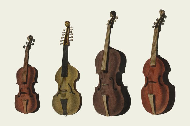 A collection of antique violin, viola, cello and more from Encyclopedia Londinensis or Universal Dictionary of Arts, Sciences and Literature 1810. Digitally enhanced by rawpixel. vector