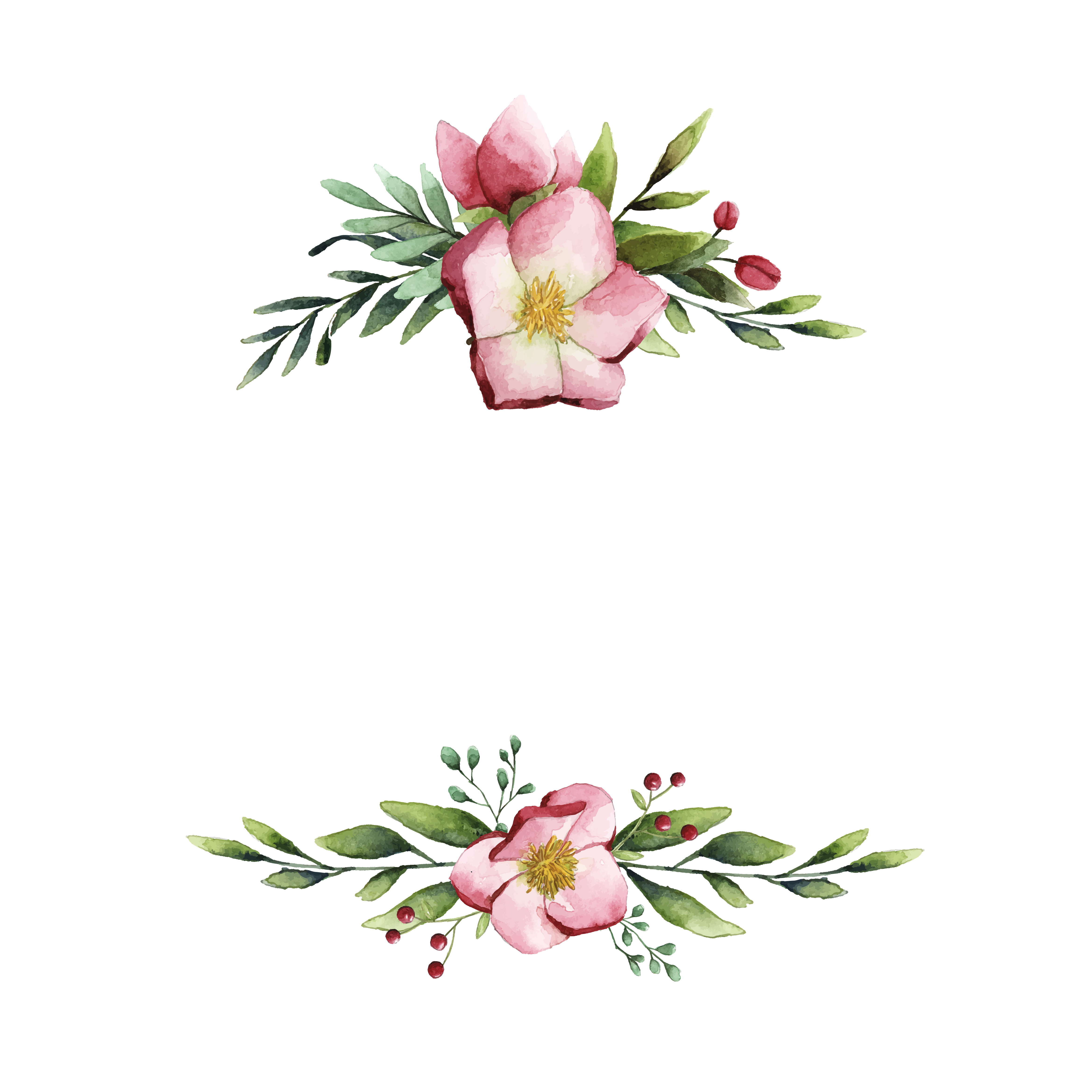 Hellebore flower frame painted by watercolor vector ...