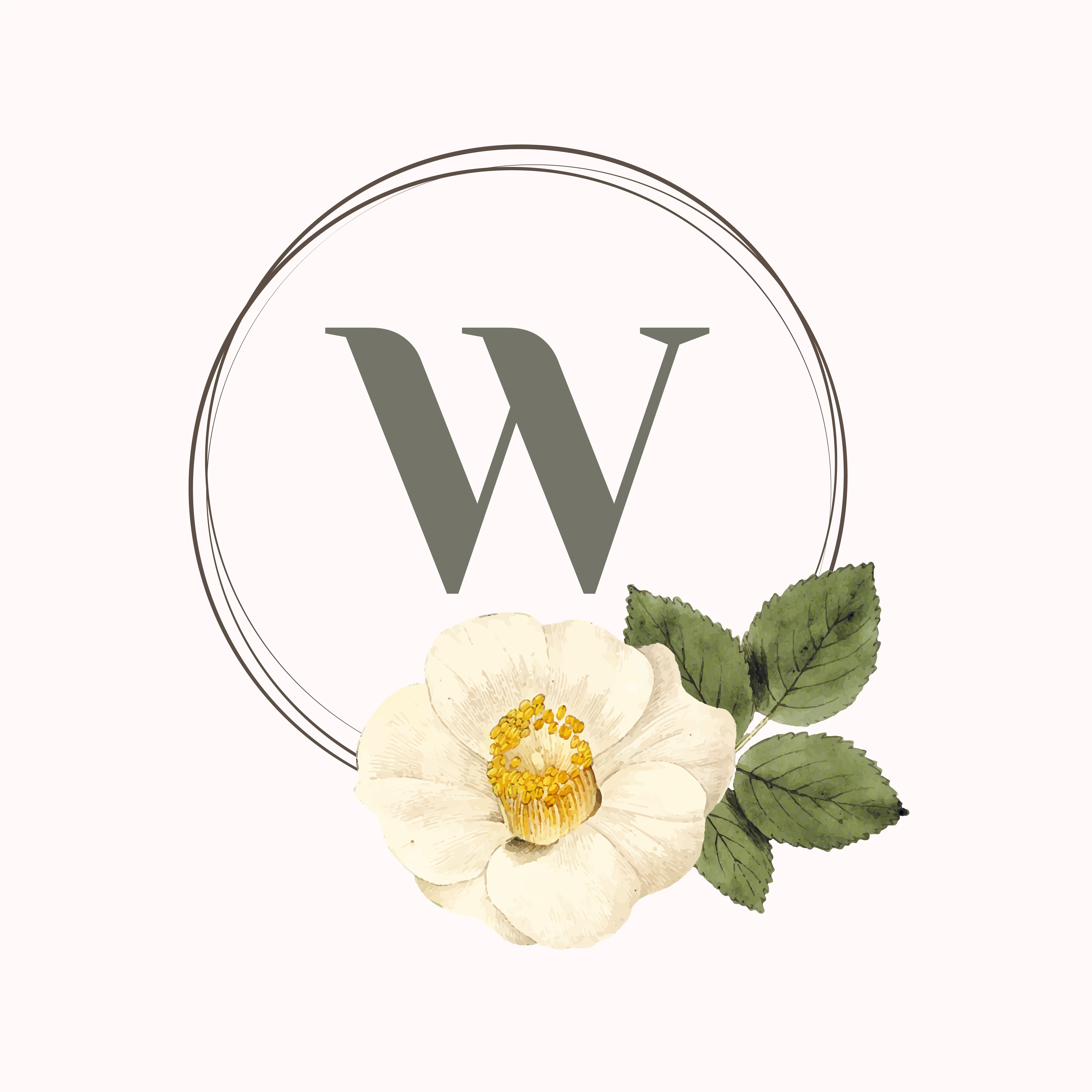 Flower Brand Logo Template Download Free Vectors Clipart Graphics 