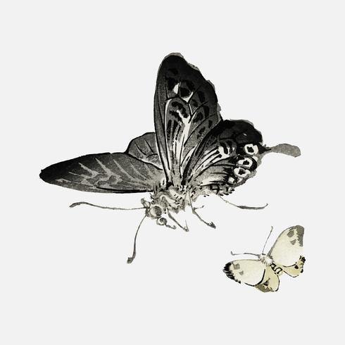 Mariposas por K? No Bairei (1844-1895). Mejorado digitalmente desde nuestra propia edición original de Bairei Gakan en 1913. vector