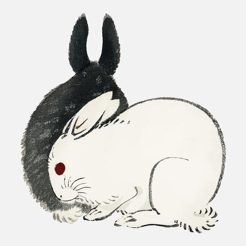 Black and white rabbits by Kno Bairei 1844-1895. Digitally enhanced from our own original 1913 edition of Bairei Gakan. vector