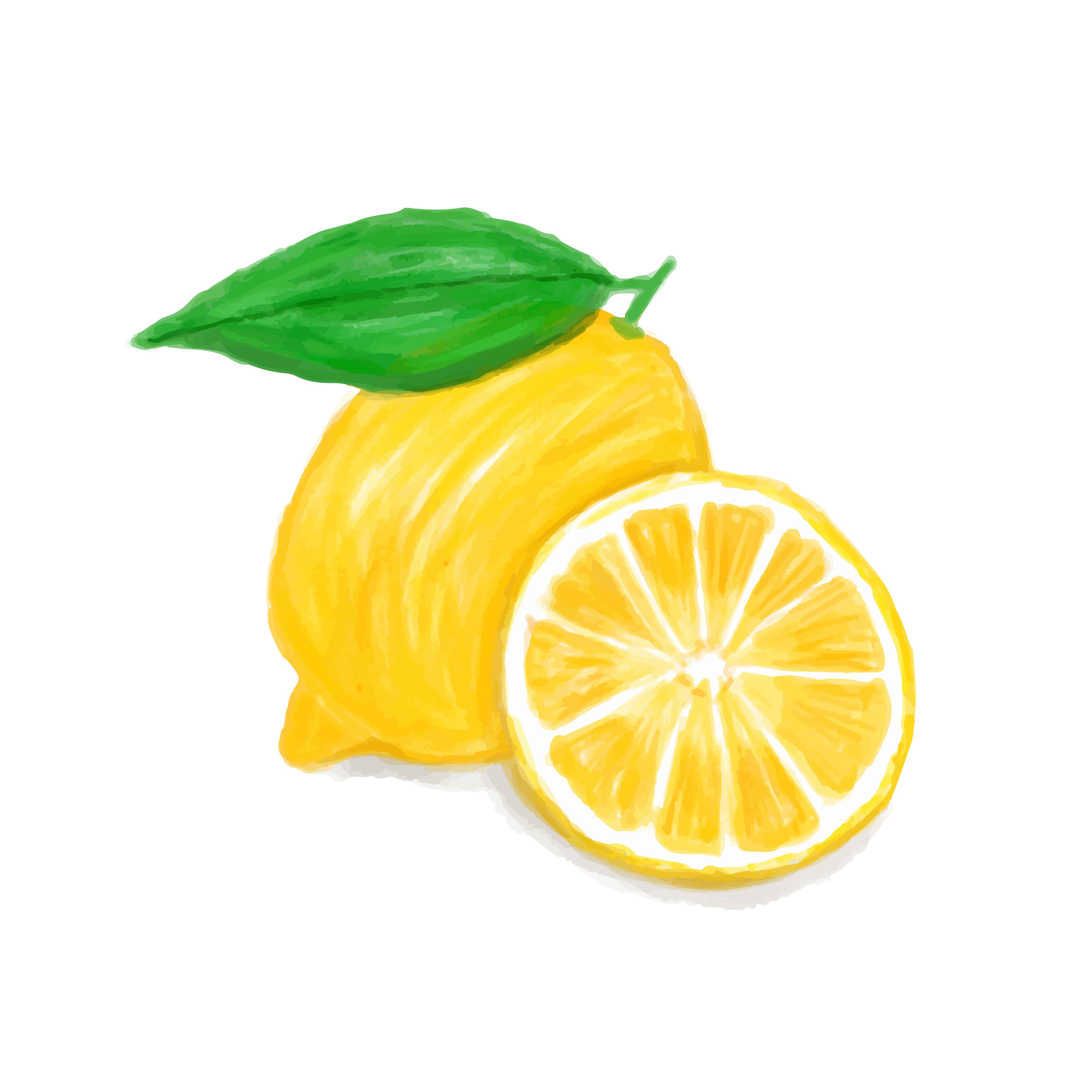 Lemon Watercolor Free Vector Art - (60 Free Downloads)