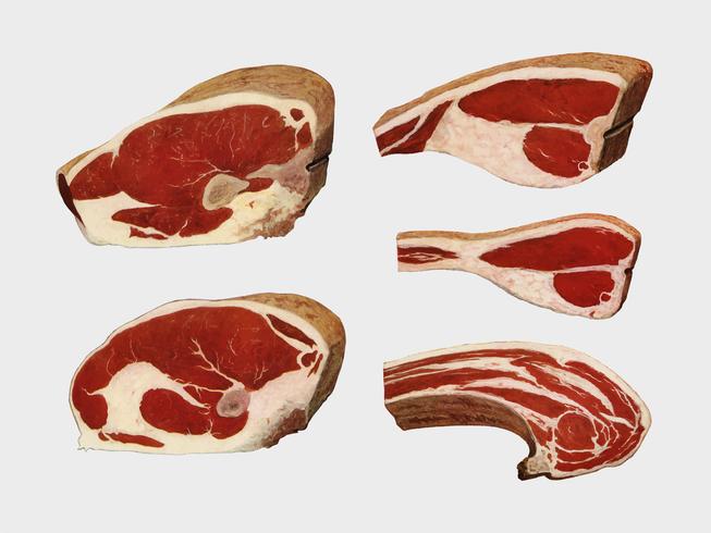 Beef Sirloins from the book, The Grocers Encyclopedia 1911. Digitally enhanced by rawpixel. vector