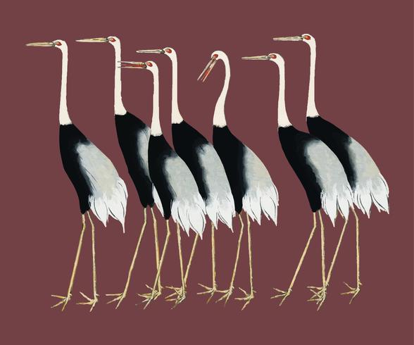 A traditional portrait of a flock of beautiful Japanese red crown crane by Ogata Korin 1658-1716. Digitally enhanced by rawpixel. vector