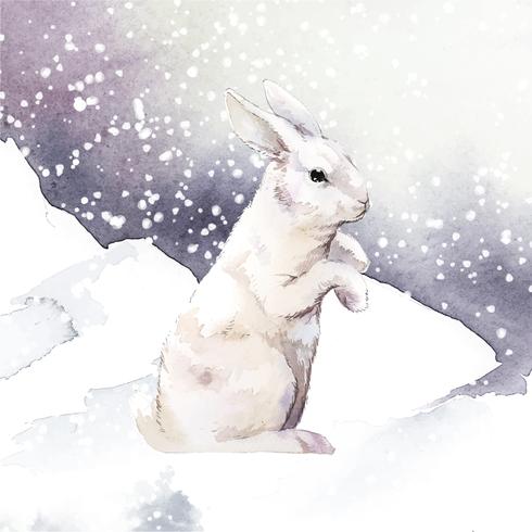Wildes Weisses Kaninchen In Einem Wintermarchen Gemalt Durch